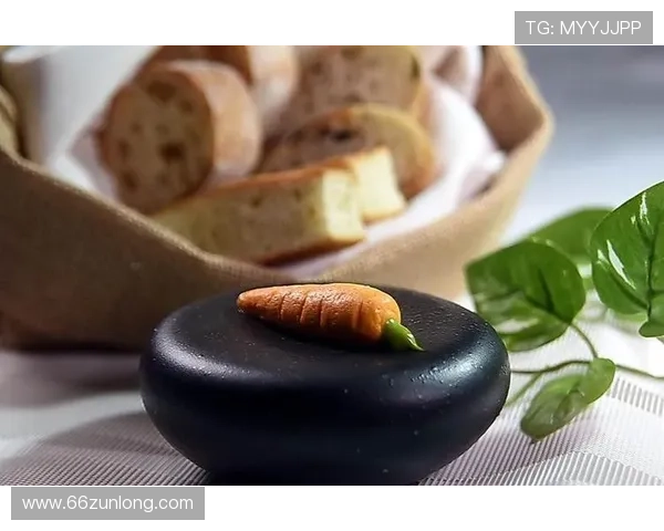 全面解析白菜彩金大全网的优惠活动与使用技巧