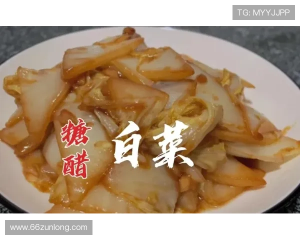 轻松获取优质内容的白菜视频下载APP推荐